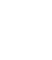 police icon
