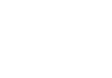 police hat icon